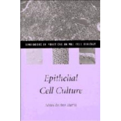 Epithelial Cell Culture