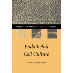 Endothelial Cell Culture