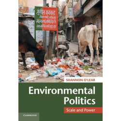 Environmental Politics: Scale and Power
