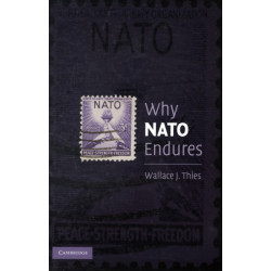 Why NATO Endures