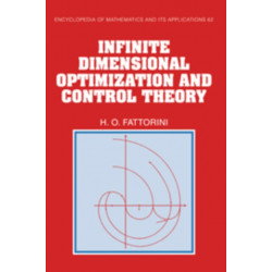 Infinite Dimensional Optimization and Control Theory