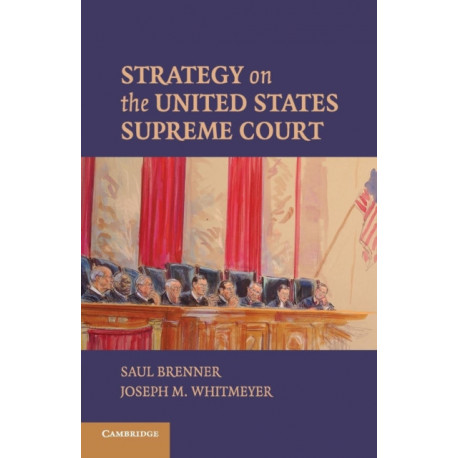 Strategy on the United States Supreme Court