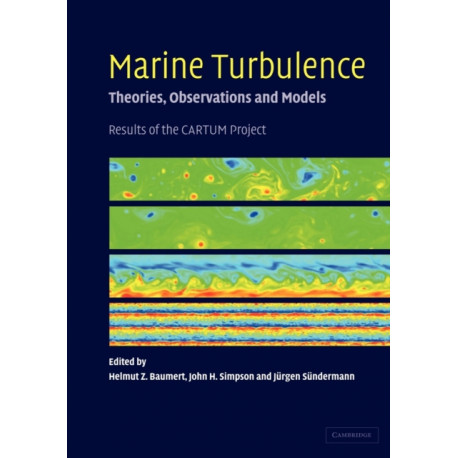 Marine Turbulence: Theories, Observations, and Models