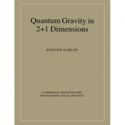 Quantum Gravity in 2+1 Dimensions
