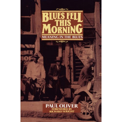 Blues Fell This Morning: Meaning in the Blues