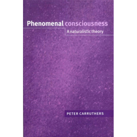 Phenomenal Consciousness: A Naturalistic Theory
