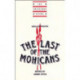 New Essays on The Last of the Mohicans