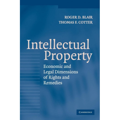 Intellectual Property: Economic and Legal Dimensions of Rights and Remedies