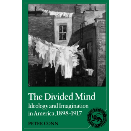 The Divided Mind: Ideology and Imagination in America, 1898-1917