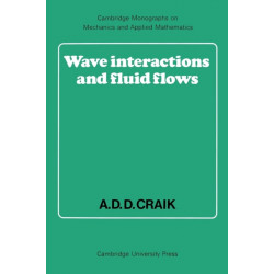 Wave Interactions and Fluid Flows