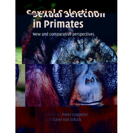 Sexual Selection in Primates: New and Comparative Perspectives