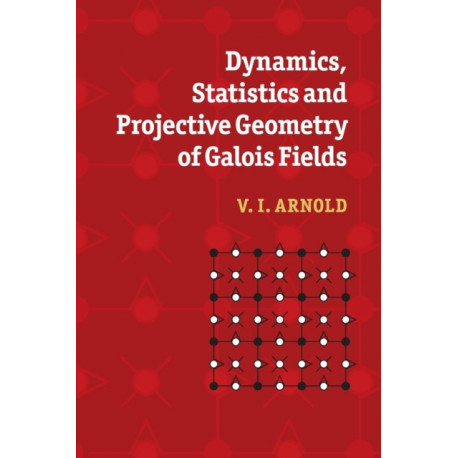 Dynamics, Statistics and Projective Geometry of Galois Fields