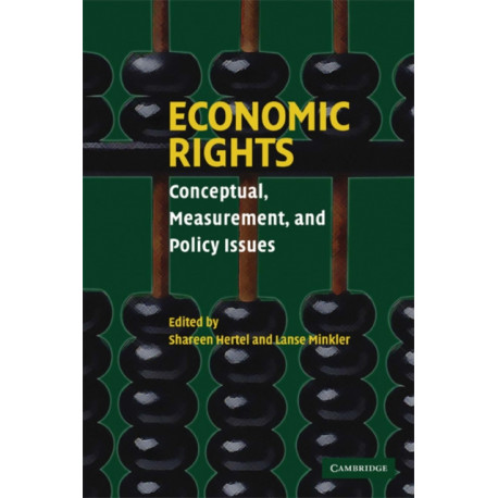 Economic Rights: Conceptual, Measurement, and Policy Issues