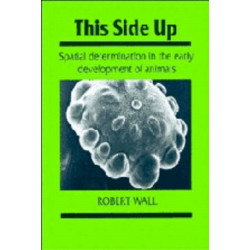 This Side Up: Spatial Determination in the Early Development of Animals
