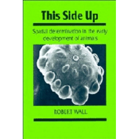 This Side Up: Spatial Determination in the Early Development of Animals