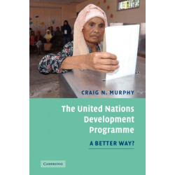 The United Nations Development Programme: A Better Way?