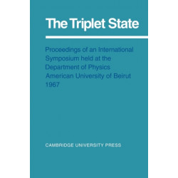 The Triplet State