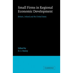 Small Firms in Regional Economic Development: Britain, Ireland and the United States