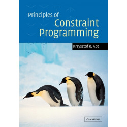 Principles of Constraint Programming