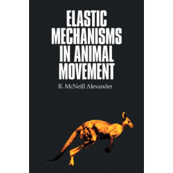 Elastic Mechanisms in Animal Movement