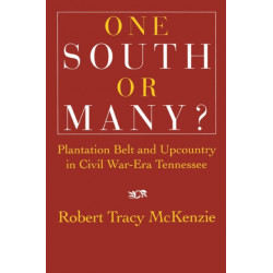 One South or Many?: Plantation Belt and Upcountry in Civil War-Era Tennessee