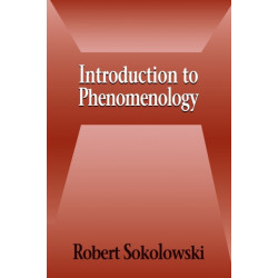 Introduction to Phenomenology