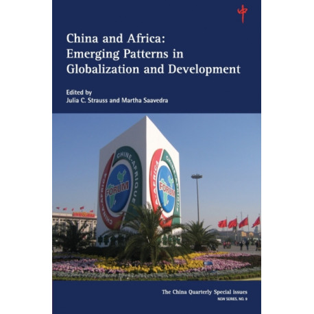 China and Africa: Volume 9: Emerging Patterns in Globalization and Development