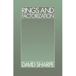 Rings and Factorization