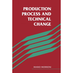 Production Process and Technical Change
