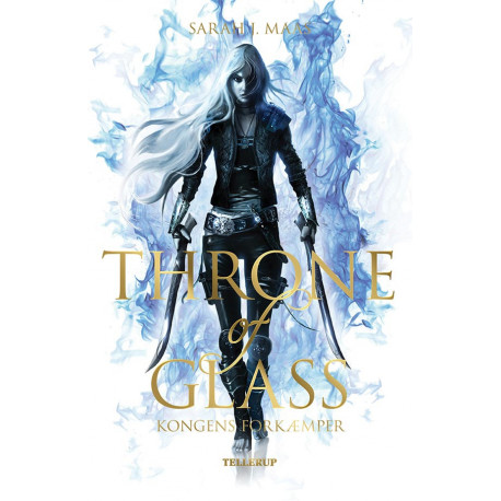 Throne of Glass -1: Kongens forkæmper