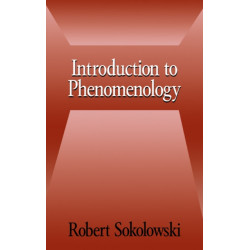 Introduction to Phenomenology