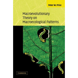 Macroevolutionary Theory on Macroecological Patterns