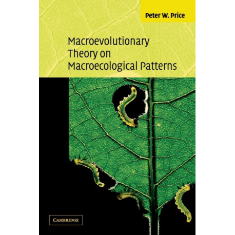 Macroevolutionary Theory on Macroecological Patterns