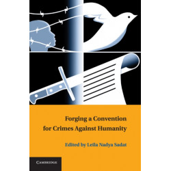 Forging a Convention for Crimes against Humanity