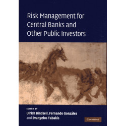 Risk Management for Central Banks and Other Public Investors
