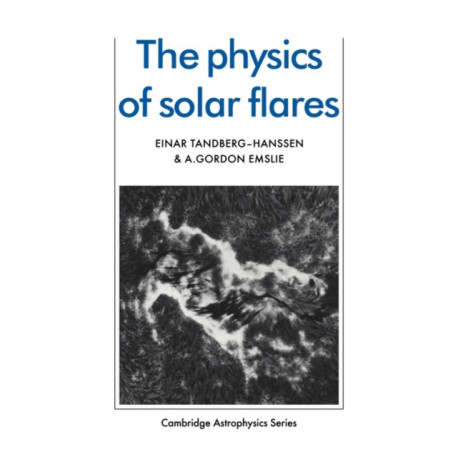 The Physics of Solar Flares