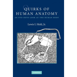 Quirks of Human Anatomy: An Evo-Devo Look at the Human Body