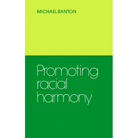 Promoting Racial Harmony