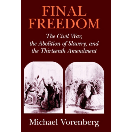 Final Freedom: The Civil War, the Abolition of Slavery, and the Thirteenth Amendment