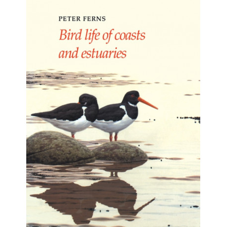 Bird Life of Coasts and Estuaries