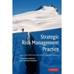 Strategic Risk Management Practice: How to Deal Effectively with Major Corporate Exposures