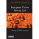 The Cambridge Companion to European Union Private Law