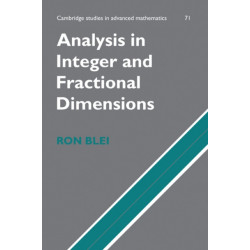 Analysis in Integer and Fractional Dimensions