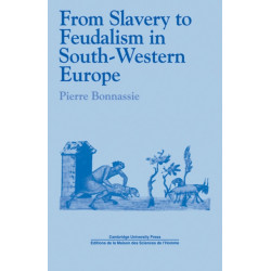 From Slavery to Feudalism in South-Western Europe