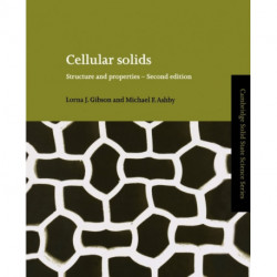 Cellular Solids: Structure and Properties
