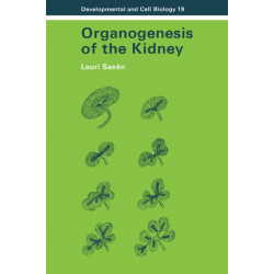 Organogenesis of the Kidney