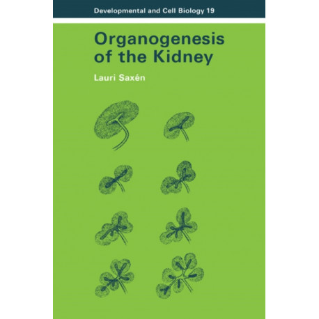 Organogenesis of the Kidney