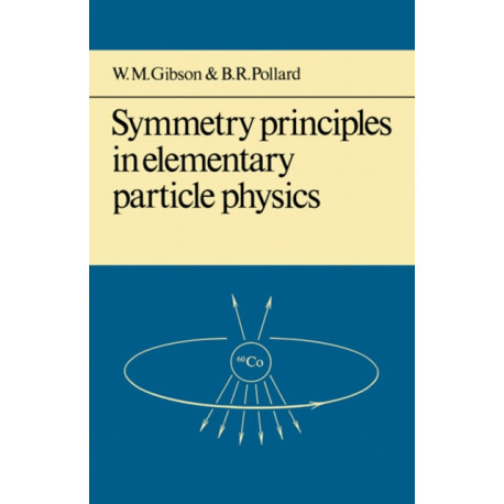 Symmetry Principles Particle Physics