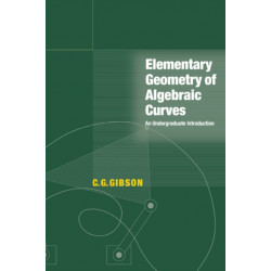 Elementary Geometry of Algebraic Curves: An Undergraduate Introduction