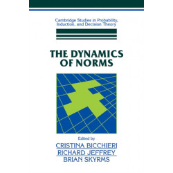 The Dynamics of Norms